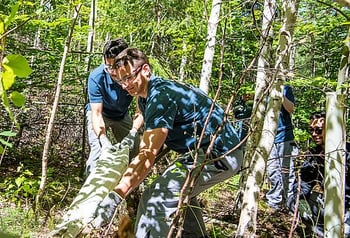 Les apprentis d'ARKU travaillent dans la forêt