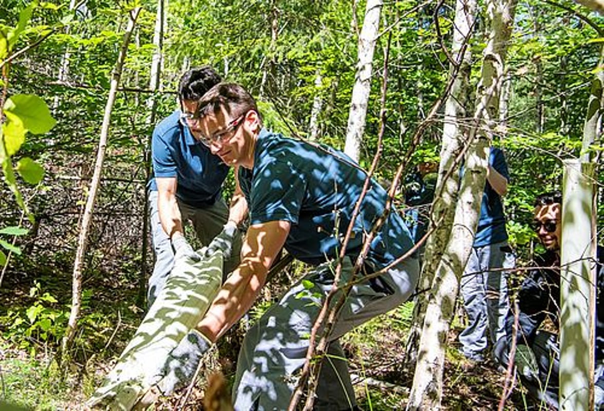 Les apprentis et étudiants d'ARKU mettent la main à la pâte dans la forêt avec la direction de l'entreprise