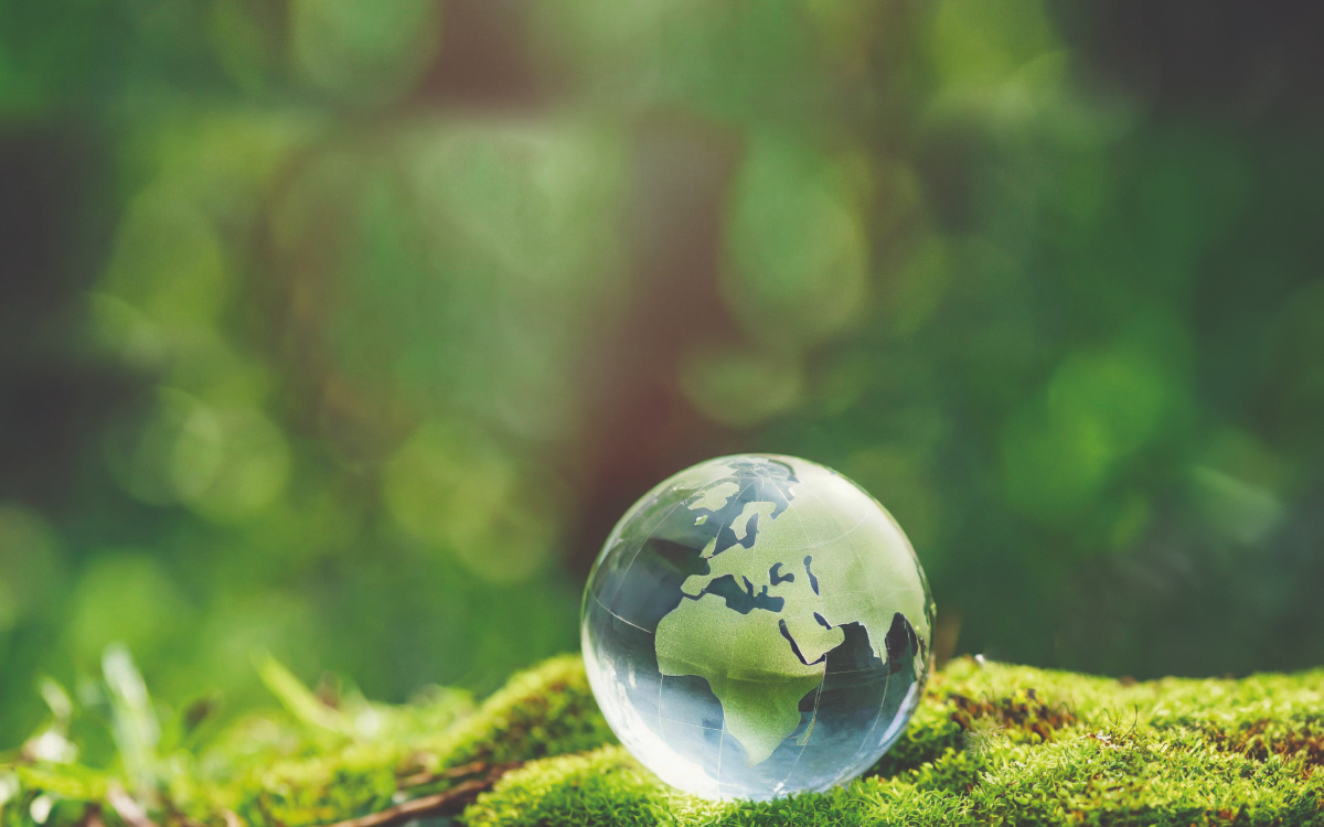 Sustainability 